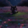 rn_o43