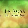 la.rosa.de.guadal823