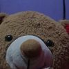 anggastill_learning