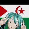 flah119