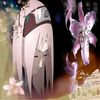 pascal_xx_editss
