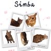 simbathebaddiecat