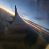 xdaisyx6452527