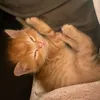 fuzzylaymoona