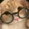 bbapcute