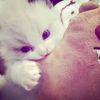 itsme__syaa