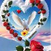 user6127161786shahnawaz