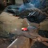 BLACKSMITH..07