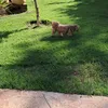 angela.de.souza40