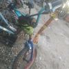 juan470369