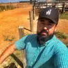 japoneiss_fazendi