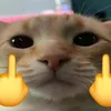 peb_105