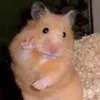 supersecretspammmacc0