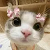 beesandchips_