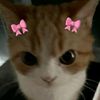 kimos_5790