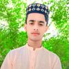 hafiz.faizanalishah