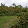 user82212371858347