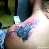 nonaflores486