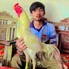 syed.sibtain.shah0