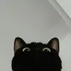 bentorueyz