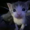 llrrtyu