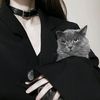 oddi_qizlaloq
