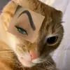 khu.lera
