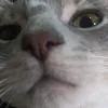 hola_xs4