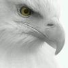 user5454805701549