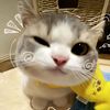 aboutt_.misell