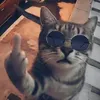 itz_me_apyo2k