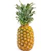 pineapple525252