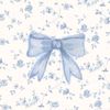 aleeya.nafeeza.ro5