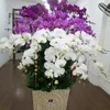 user8754062012275