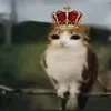 34krrt