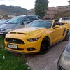 carsnp01