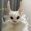 ponnkinn02