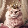 cat.8898