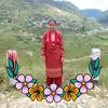 narmay.karki