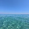 elenayap16