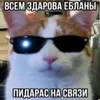 eshkerebro8