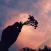 gapemtrongmo00