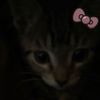 linwz6