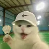 _enzuuuu