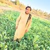 user725805244437