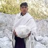 mramir052