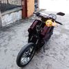 nafil_syauqi