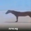 kalasegwbkz