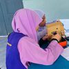 .qaihann