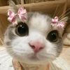 switiemeisy4_02